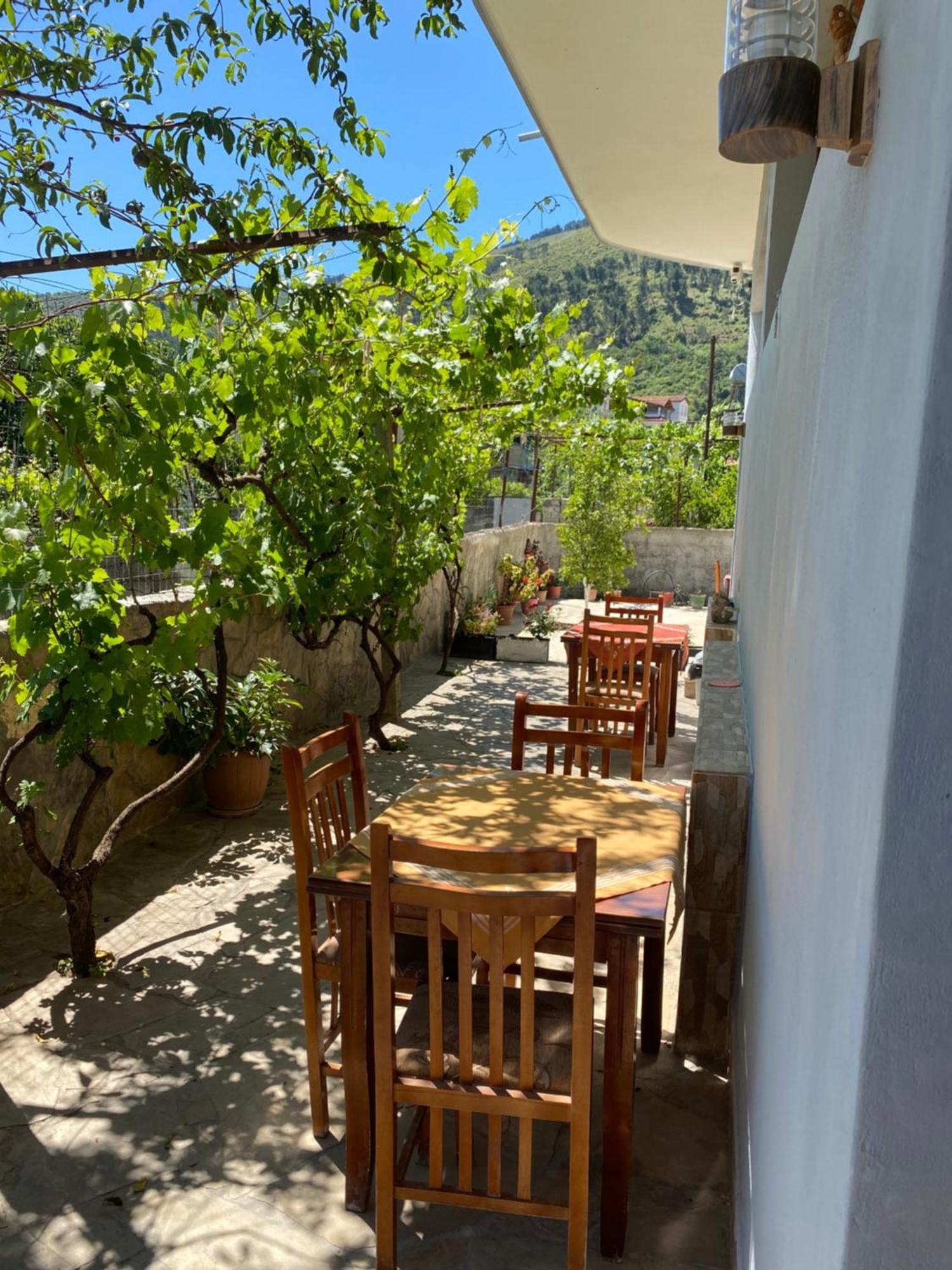 Guesthouse Seli Berat Extérieur photo